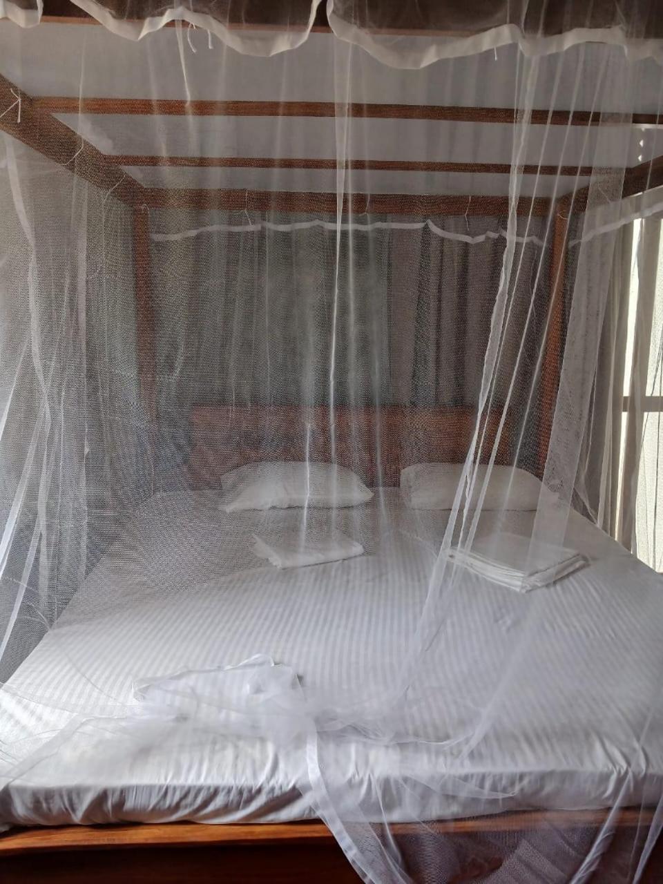Ima House Bed & Breakfast ดิคเวลลา ภายนอก รูปภาพ